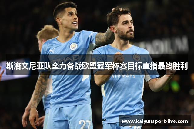 斯洛文尼亚队全力备战欧盟冠军杯赛目标直指最终胜利