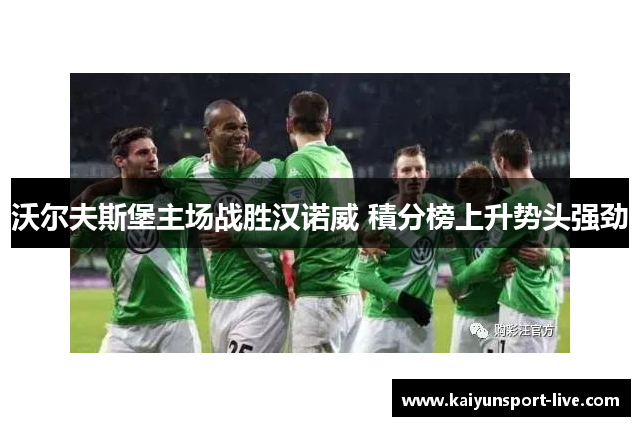 沃尔夫斯堡主场战胜汉诺威 積分榜上升势头强劲