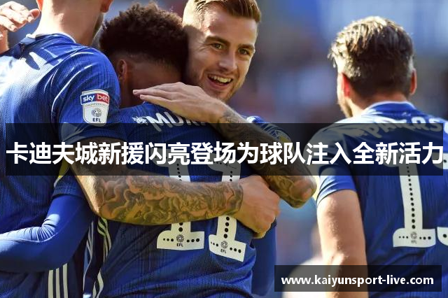 卡迪夫城新援闪亮登场为球队注入全新活力