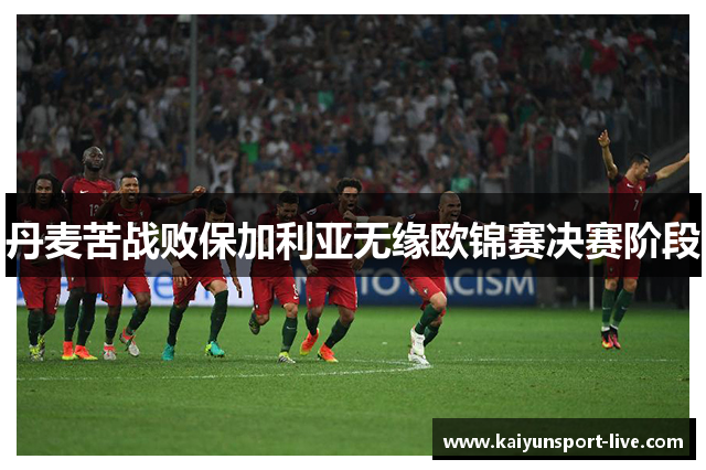 丹麦苦战败保加利亚无缘欧锦赛决赛阶段