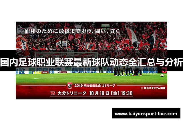 国内足球职业联赛最新球队动态全汇总与分析