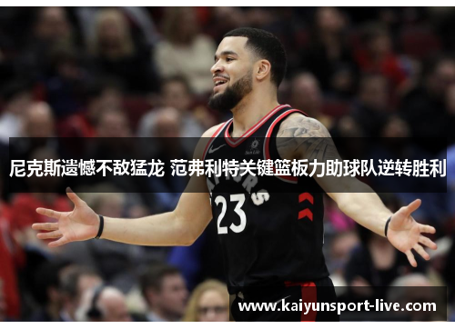 尼克斯遗憾不敌猛龙 范弗利特关键篮板力助球队逆转胜利