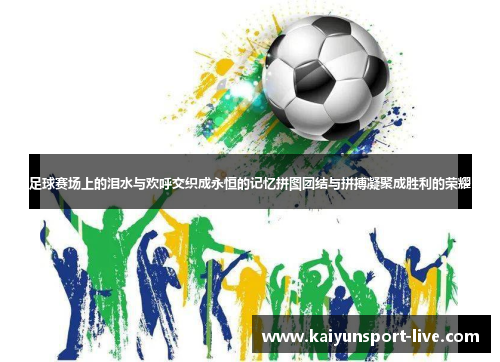 足球赛场上的泪水与欢呼交织成永恒的记忆拼图团结与拼搏凝聚成胜利的荣耀