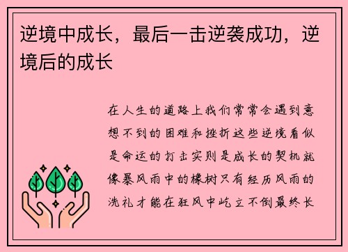 逆境中成长，最后一击逆袭成功，逆境后的成长