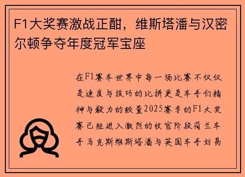 F1大奖赛激战正酣，维斯塔潘与汉密尔顿争夺年度冠军宝座